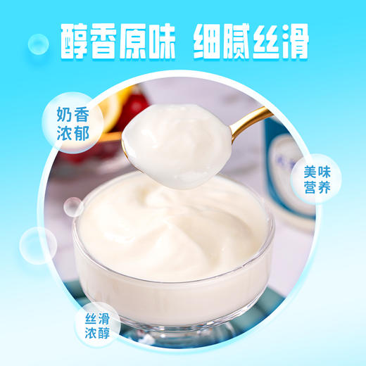 【顺丰包邮】光明&小西牛 青海特色老酸奶益生菌风味发酵乳低温桶装酸奶370g*3桶/6桶 商品图5