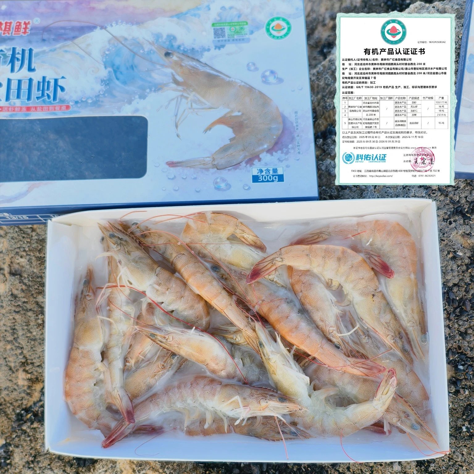 顺丰包邮，4盒送1盒到手5盒，渤海湾有机生冻盐田虾1年只有1季，一盒一码可溯源 活虾速冻 肉质弹甜 只需要白灼就非常好吃 顺丰基地直邮