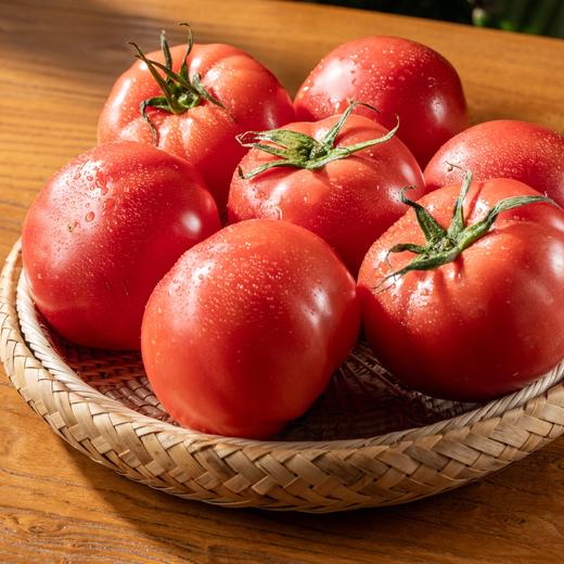 普罗旺斯西红柿|沙瓤多汁，生吃也超清甜，一口吃到儿时味！|番茄 商品图1