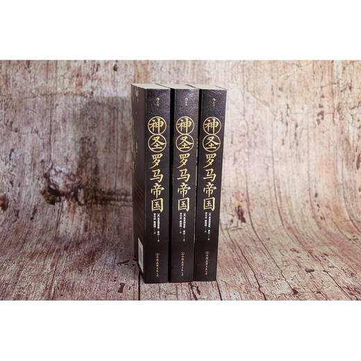 神圣罗马帝国:查理曼帝国到神圣罗马帝国解散的千年历史 商品图2