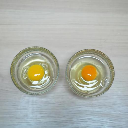 【3箱 送 2瓶酱油】长白山原始森林散养笨鸡蛋 一箱50个 商品图5