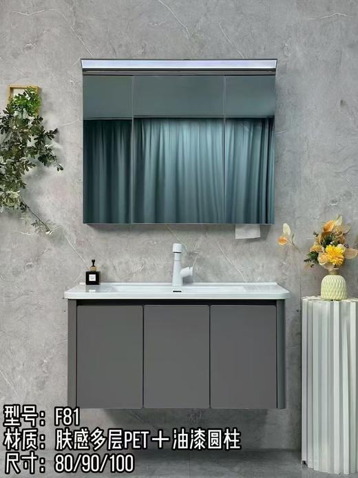 YX浴室柜 F81-100 商品图0