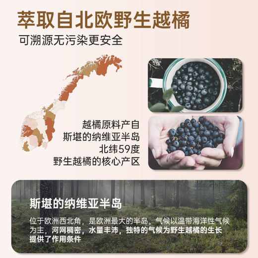 MEDOX花青素胶囊 挪威原装进口 越橘非叶黄素 蓝莓护眼 17中花青素60mg 商品图4