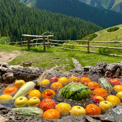 夏季伊犁，徒步天山·徜徉花海 7天6晚 商品图13