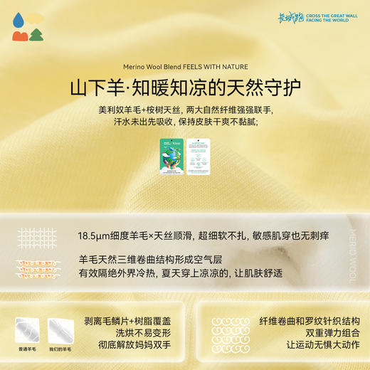 【天丝羊毛短袖T恤】森林棠26夏款儿童天然凉爽舒适亲肤T恤40162106 商品图3
