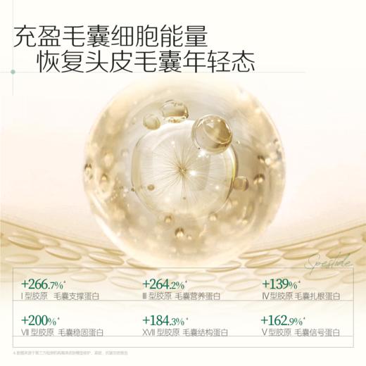 【品牌直发】Spēs诗裴丝多肽精华蓬松控油洗发水300ml/500ml 商品图6