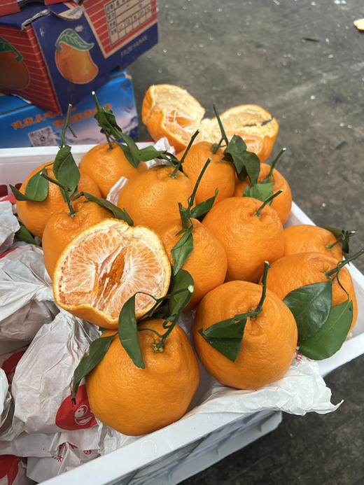 宏丰精选，春见耙耙柑，口感甜，水份多，9.9元2斤 商品图6