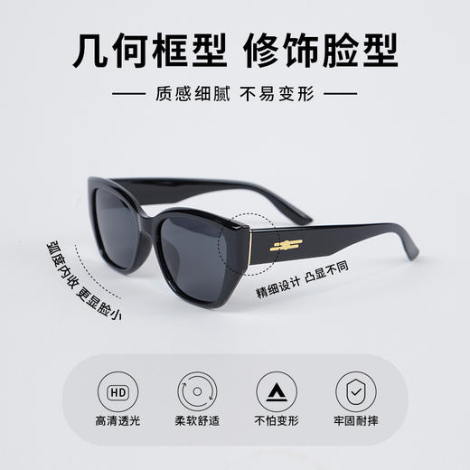 20358树脂太阳镜眼镜-纪念日百货门店同款169097266 商品图1