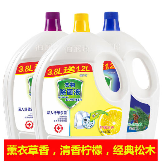 家用衣物除菌液洗衣液洗衣服除螨杀菌内衣物护理除菌液衣物通用 商品图0