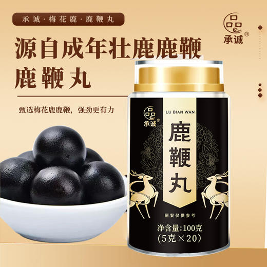 承诚成年壮鹿鹿鞭丸100g（5g*20粒） 商品图0