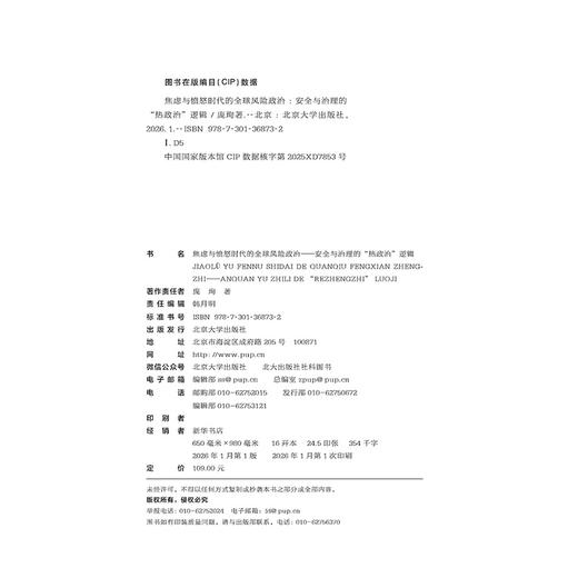 焦虑与愤怒时代的全球风险政治 庞珣 著 北京大学出版社 商品图3