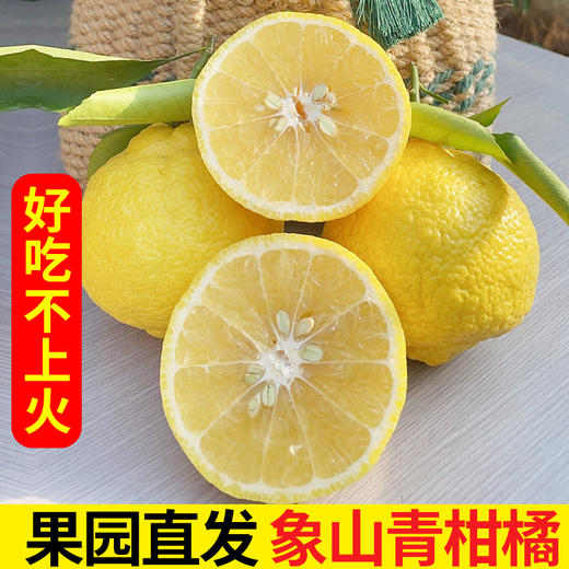 象山青桔柚 商品图2