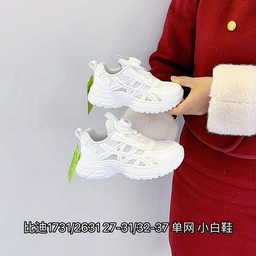 比迪1731/2631 商品图0