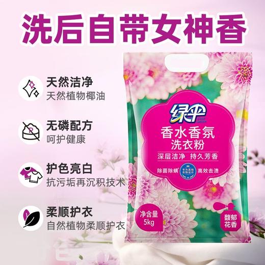 绿伞洗衣粉持久留香洗衣粉深层洁净衣物馥郁花香除菌除螨 商品图5
