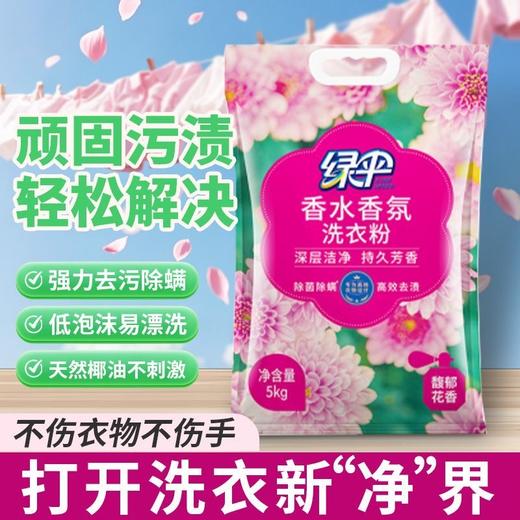 绿伞洗衣粉持久留香洗衣粉深层洁净衣物馥郁花香除菌除螨 商品图1