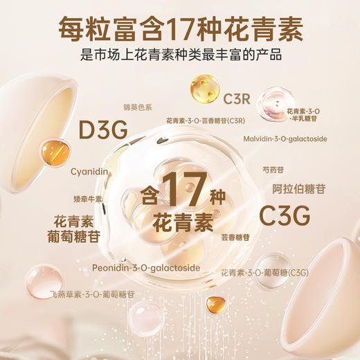 MEDOX花青素胶囊 挪威原装进口 越橘非叶黄素 蓝莓护眼 17中花青素60mg 商品图1