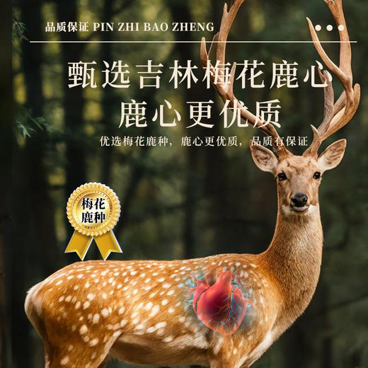 承诚成年壮鹿鹿心丸100g（5g*20粒） 商品图2