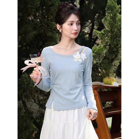 鹿向南「云絮浅风」温柔风蓝色设计感长袖T恤女春新款巨好看上衣