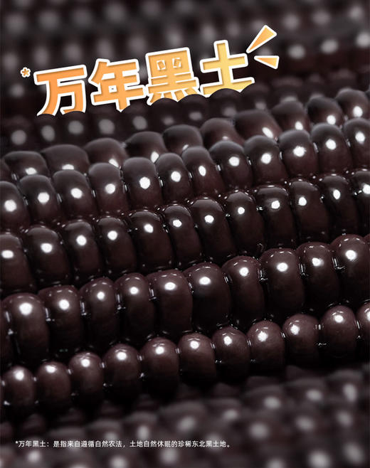 北纬47度黑珍珠甜糯玉米200g*8支装  JCT 商品图6