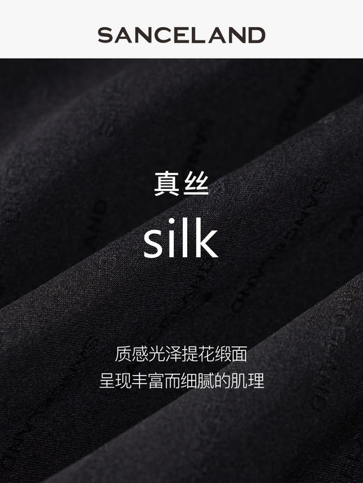 【春假专区】三石一澜SANCELAND 桑波缎衬衣SK11101022 商品图3