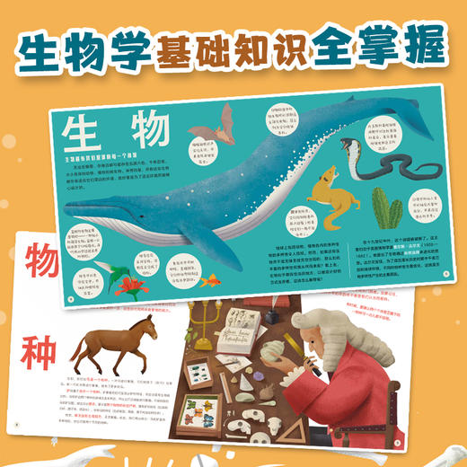 9岁+ 我的第一本量子物理学 礼盒装  6册  灿烛 商品图4