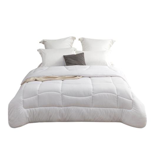 LOVO TG LOVO 甄·悦 暖姜黑科技丝柔抗菌春秋被HX 商品图7