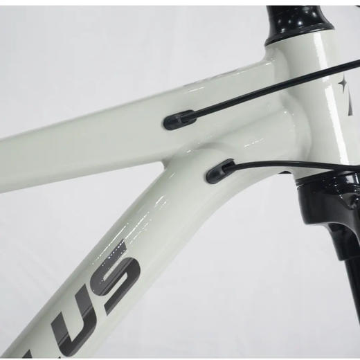 RIDERPLUS骐行家26寸战神007山地自行车铝合金油碟成人变速山地车 商品图2