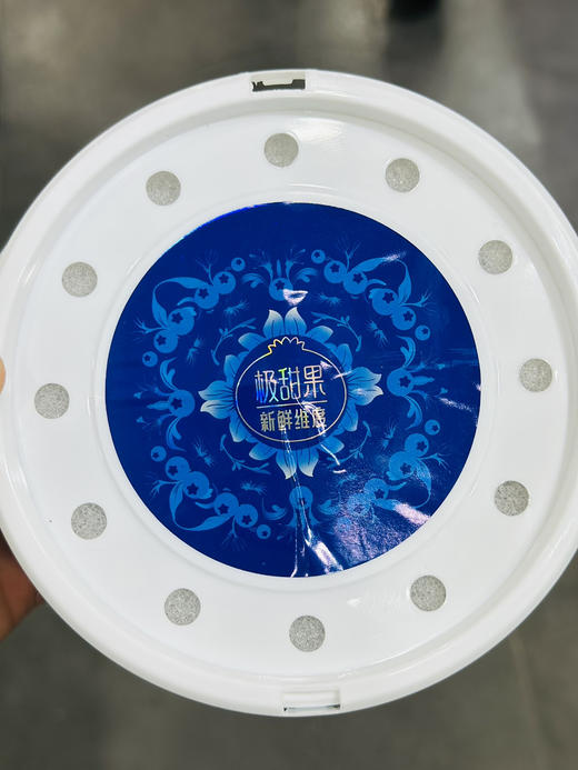 花香脆蓝莓（净重400克） 商品图1