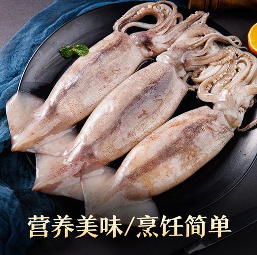 【SF】冰鲜鱿鱼 商品图1