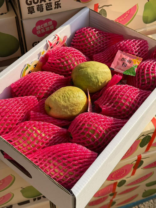 草莓红心奶油芭乐 商品图5