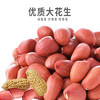力源【保真花生油】压榨一级花生油4L 浓香型食用油家庭装 物理压榨 /粮油调味 /食用油 /花生油 商品缩略图1