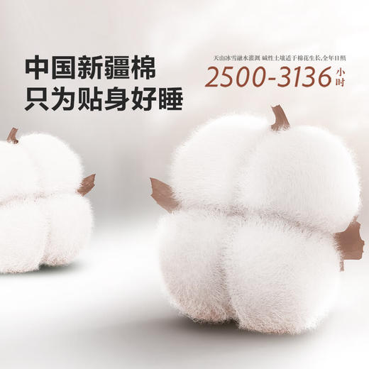 LOVO乐蜗 花花茶话会 床品四件套 商品图1