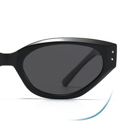 ZERSER姿森防紫外线板材镜腿墨镜男女新款潮流TR大框尼龙太阳眼镜G8035