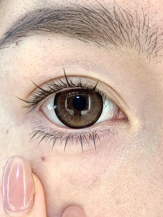 日抛 liliyacon 起司小猫 14.5 着色14.1【6片装】 商品图3