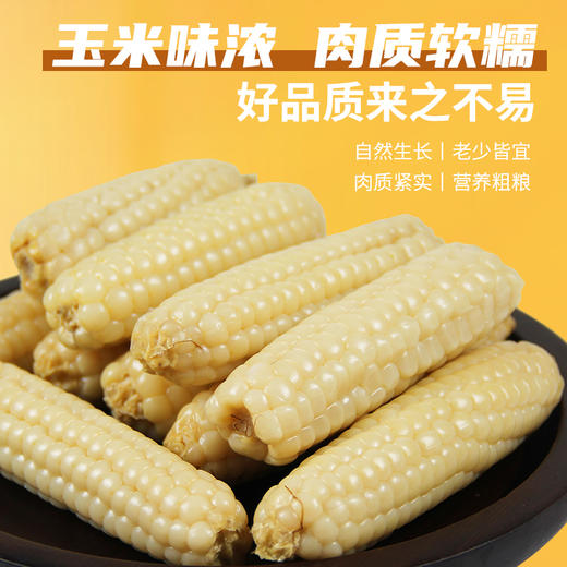 【斌哥优选】西双版纳拇指小玉米，非转基因0农残，细嫩可口，甜香可人，减脂期的好搭档低卡碱性食物，小朋友早餐超爱 商品图0