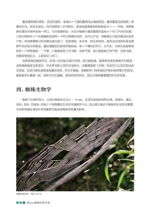 缙云山蜘蛛观察手册 商品图10