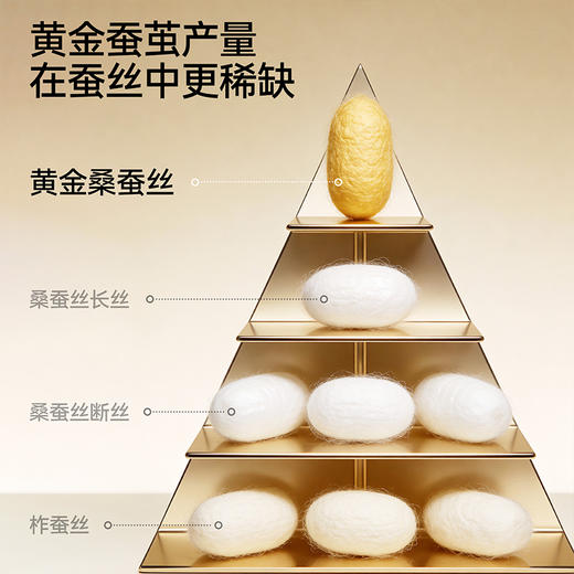 【买一送一 到手两件】草本初色 金丝蚕香氛内衣 M-2XL码 (90-150斤）送：袜子一双+内裤一条（尺码颜色随机） 商品图4