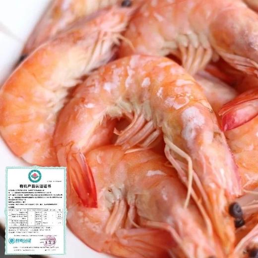 顺丰包邮，4盒送1盒到手5盒，渤海湾有机生冻盐田虾1年只有1季，一盒一码可溯源 活虾速冻 肉质弹甜 只需要白灼就非常好吃 顺丰基地直邮 商品图9
