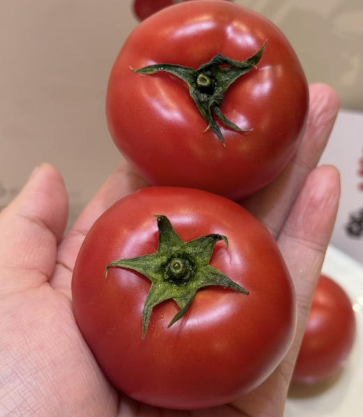 高糖野番茄 商品图3