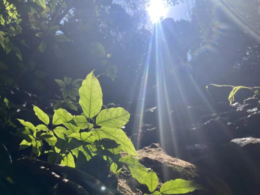 户外@佛山西樵山探洞1天 商品图2