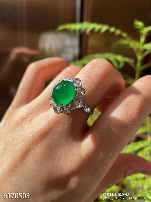 玻璃种浓艳绿蛋面戒指【6170503】具体价格微信咨询 商品图4