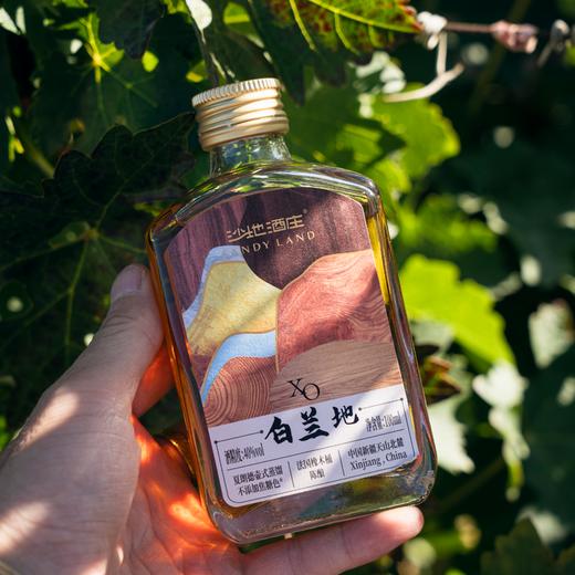 【荣获国际金奖】【大美新疆沙地酒庄·XO白兰地】口感醇厚 比进口更好喝 小瓶装不隔夜不浪费 40%vol 100ml*6瓶 商品图4