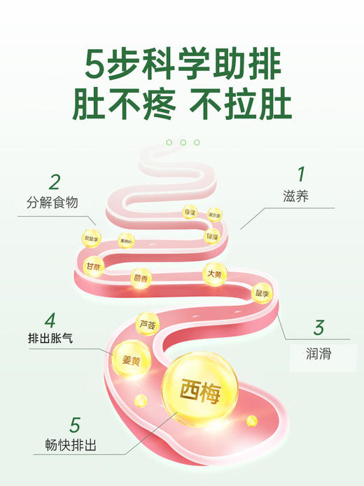 Rapid锐品清肠片80片（新西兰版） 商品图3