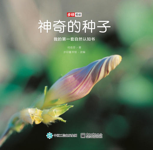 【Day 4】识字2《大个子小小人》识字游戏+认知1《神奇的种子》导读音频 商品图0