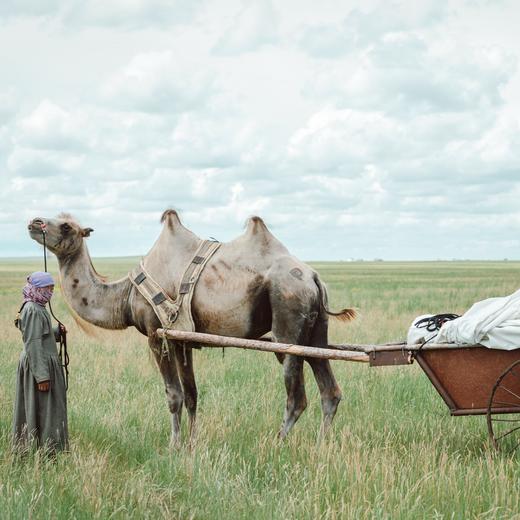 【暑假】外蒙古跨境游学 -呼伦湖与阿尔山间的游牧 7天6晚 商品图7
