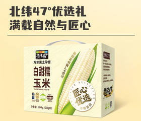 北纬47度白甜糯玉米230g*8支装  JCT