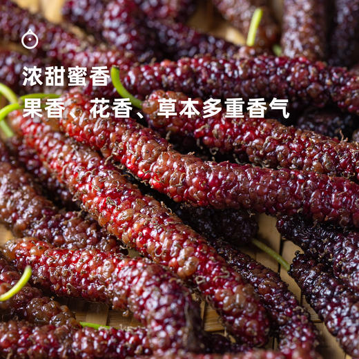 15天内发 企鹅市集|大凉山阳光果桑 四拼蜜桃果桑/紫晶果桑/金香果桑/传统果桑 独家品种桑葚 树上自然熟 甜蜜柔嫩风味十足 商品图1