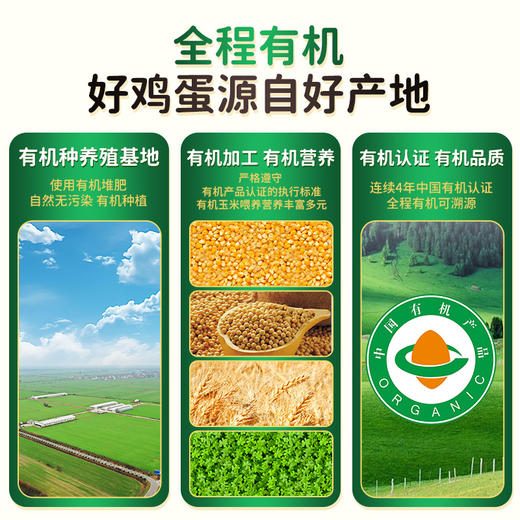 优选 | 好念头 有机黑鸡蛋30枚装 商品图1