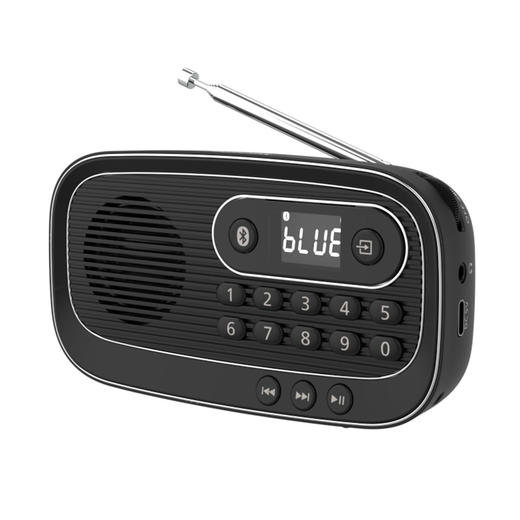 飞利浦（PHILIPS）便携多功能收音机蓝牙音箱 FM调频TF卡播放数字选曲 老人户外陪伴半导体新闻评书音箱 TAR1100 商品图3