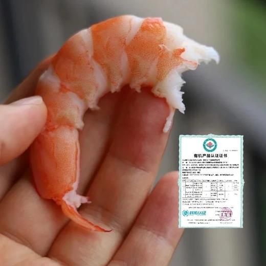 顺丰包邮，4盒送1盒到手5盒，渤海湾有机生冻盐田虾1年只有1季，一盒一码可溯源 活虾速冻 肉质弹甜 只需要白灼就非常好吃 顺丰基地直邮 商品图7
